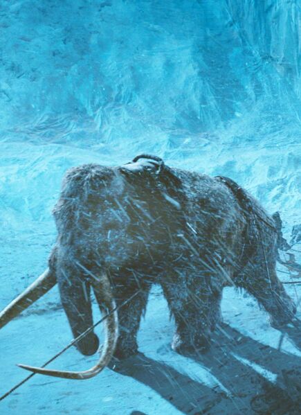 Файл:Mammoths.jpg